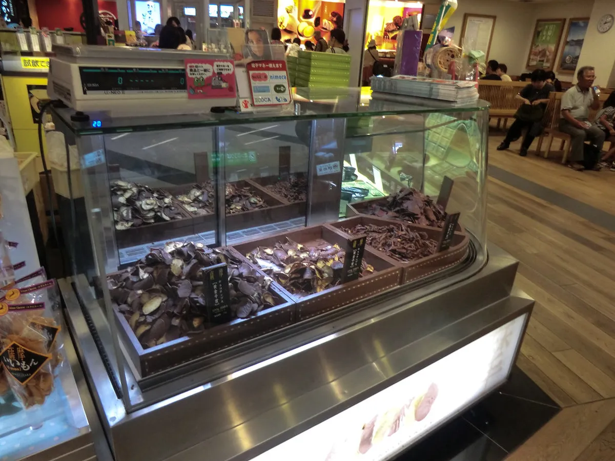 10 Best Kagoshima Famous Food Experiences (2026)