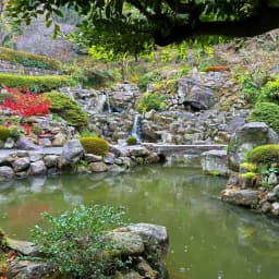 Kagoshima Itinerary 5 Days: 10 Essential Planning Tips and Stops