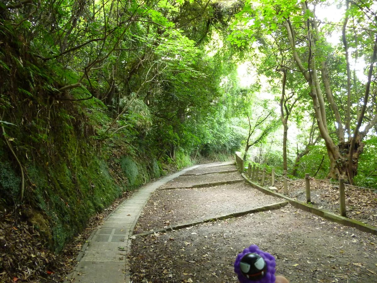 12 Best Things to Do in Kagoshima with Kids (2026)