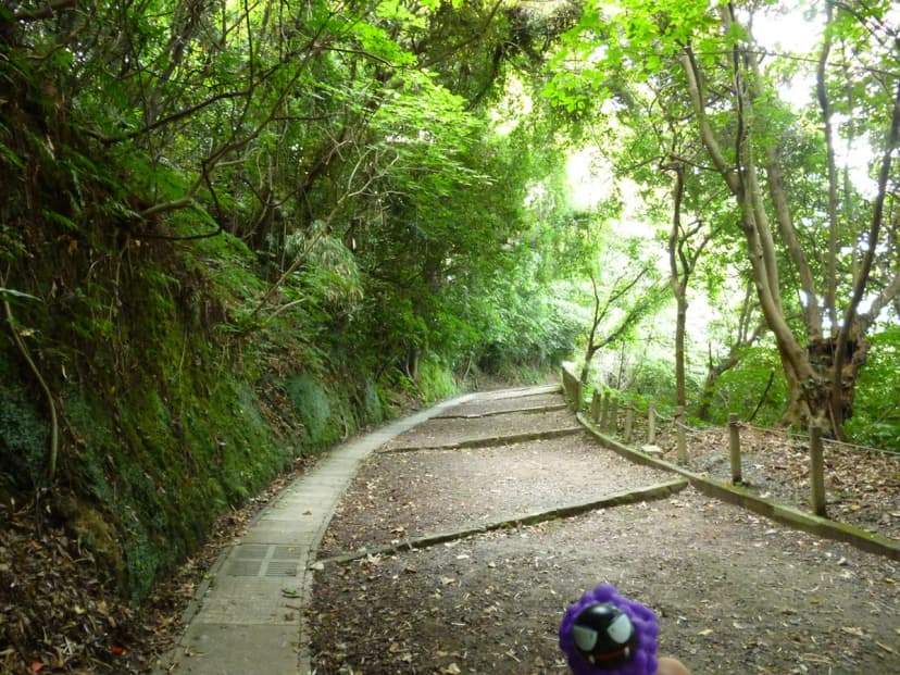 12 Best Things to Do in Kagoshima with Kids (2026)