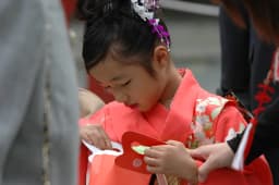 Kamakura Festival Itinerary and Transport Guide: 8 Essential Sections