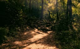 10 Essential Tips for Kamakura Hiking Trails and Station Exit Guide