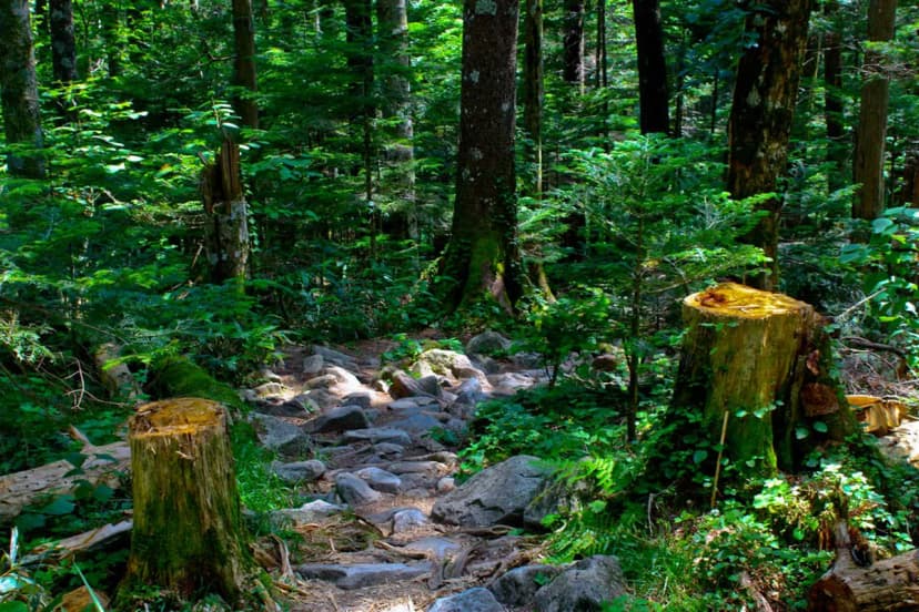 Kamikochi Visitor Guide Travel Guide
