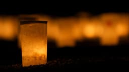 Kasuga Taisha Shrine Guide: Lanterns, Deer, and History