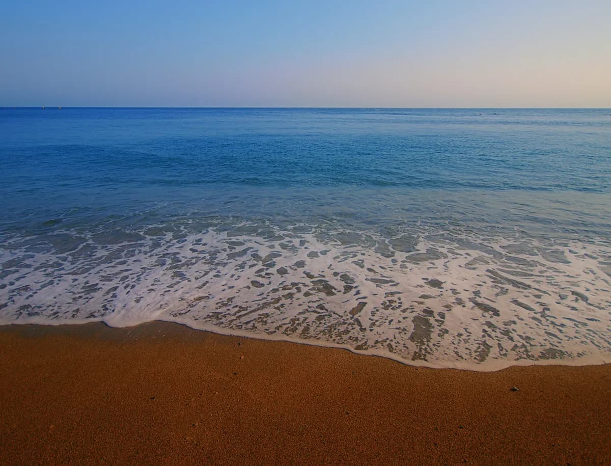 Katsurahama Beach Travel Guide