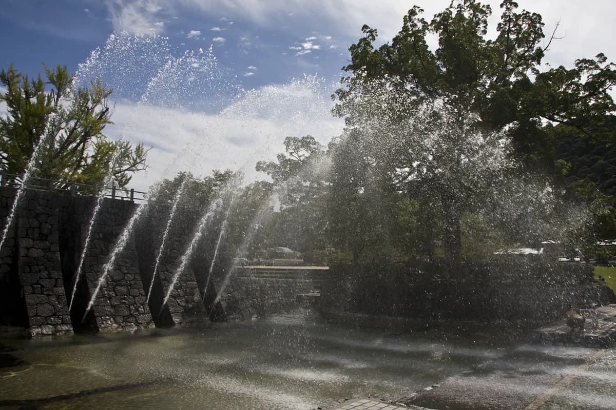 10 Essential Tips for Your Kikko Park Visitor Guide