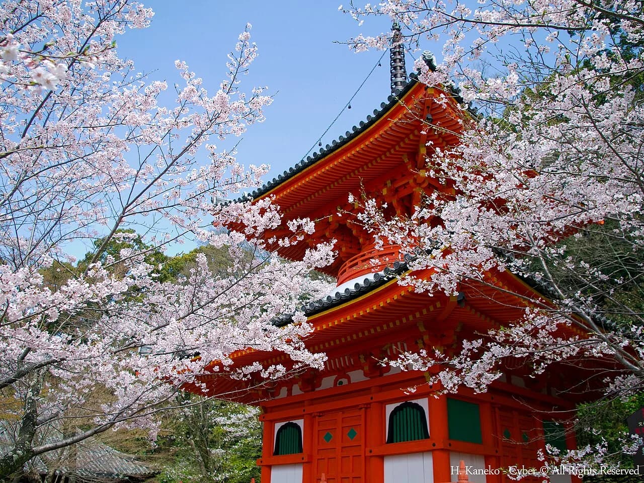 Kimiidera Visitor Guide: Temple Highlights, Access & Tips