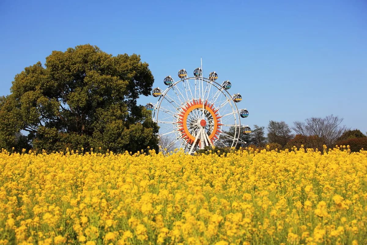 Kumamoto City Zoo And Botanical Gardens Visitor Guide
