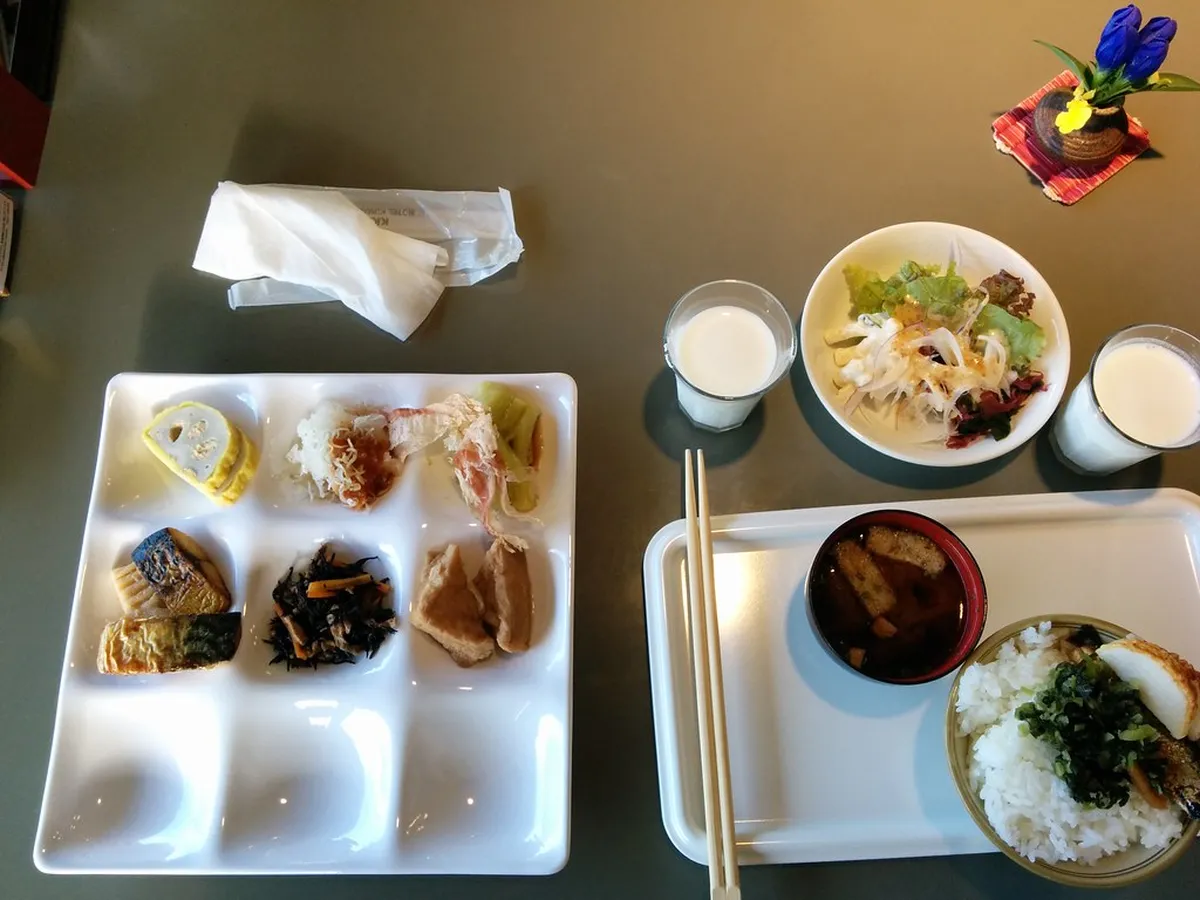 11 Best Kumamoto Foods and Dining Tips (2026)