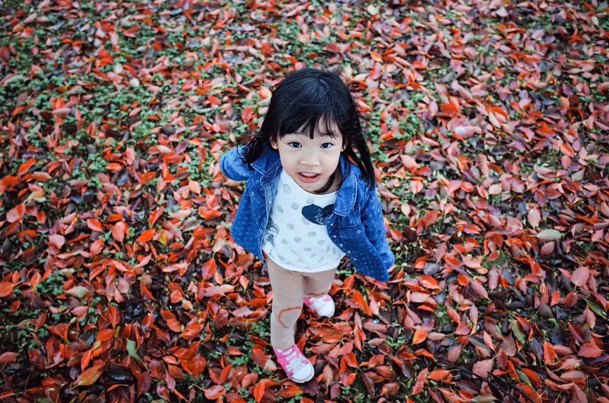 Kumamoto With Kids: 10 Essential Tips and Attractions