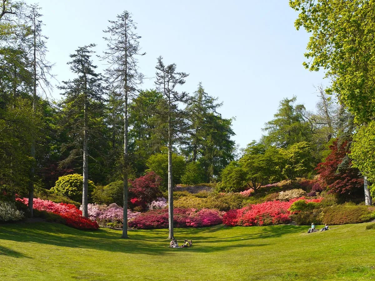 Kurume Day Trip From Fukuoka Guide: 1-Day Itinerary