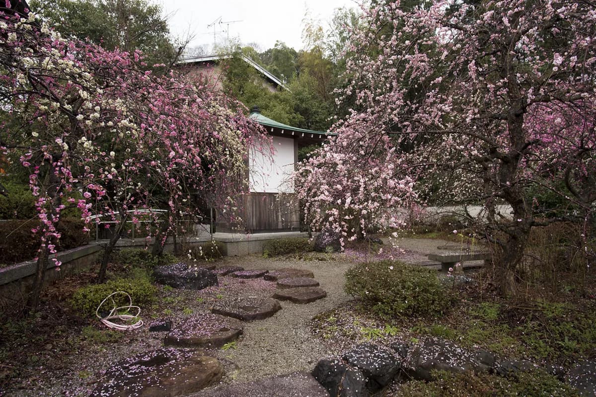 15 Best Kyoto Hidden Gems to Visit (2026)