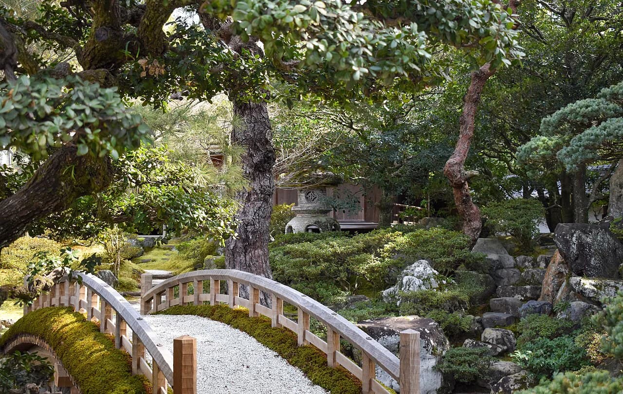 Kyoto Imperial Palace Guide: Visiting the Former Royal Residence