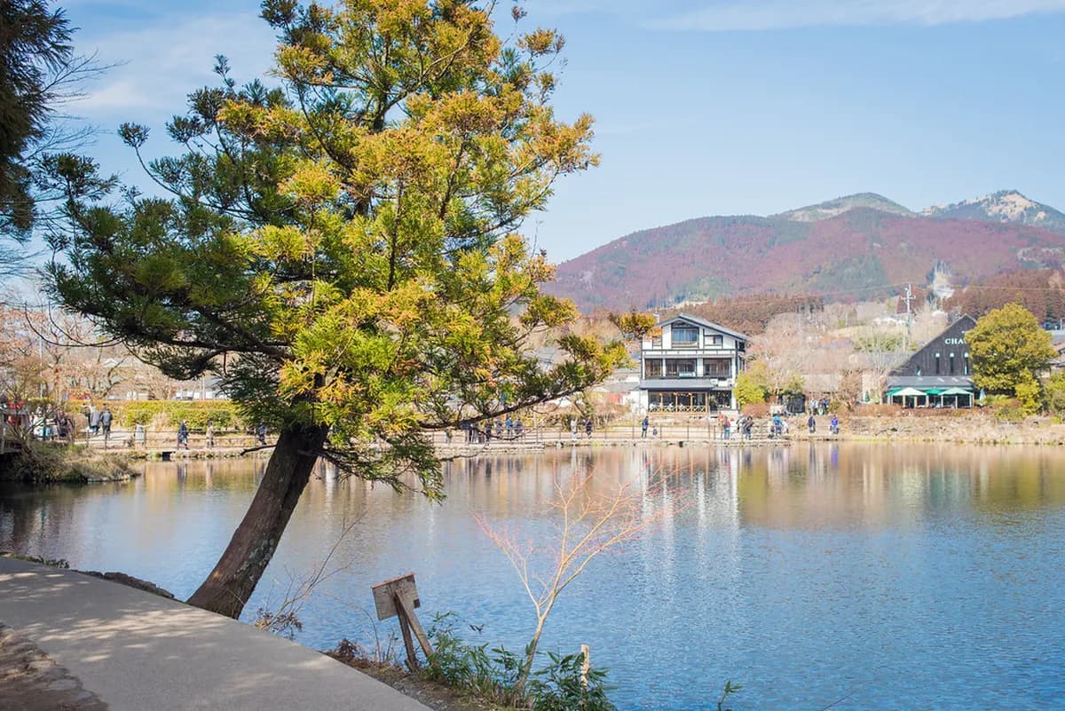 Lake Kinrin Visitor Guide: Essential Tips & Things to Do in Yufuin