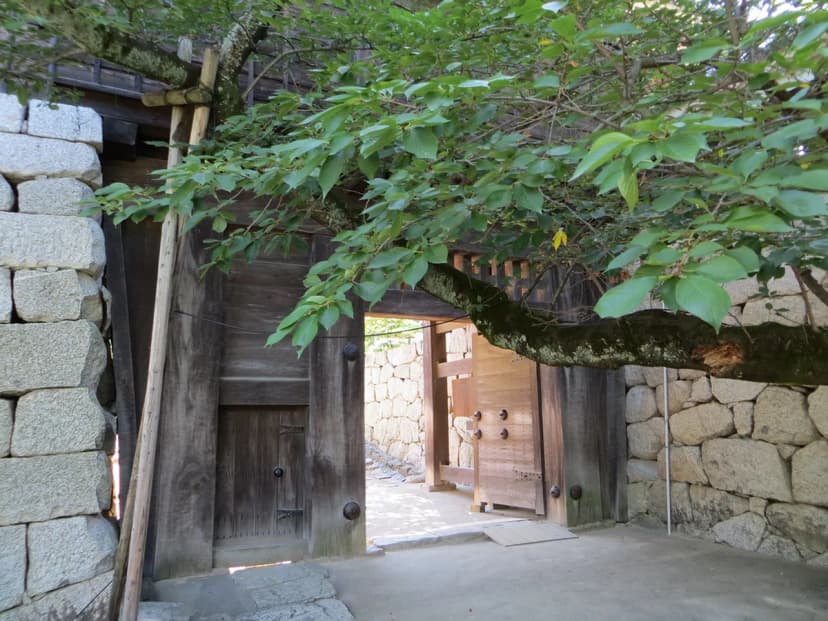 Matsuyama Castle Visitor Guide: Tickets, Access & Tips