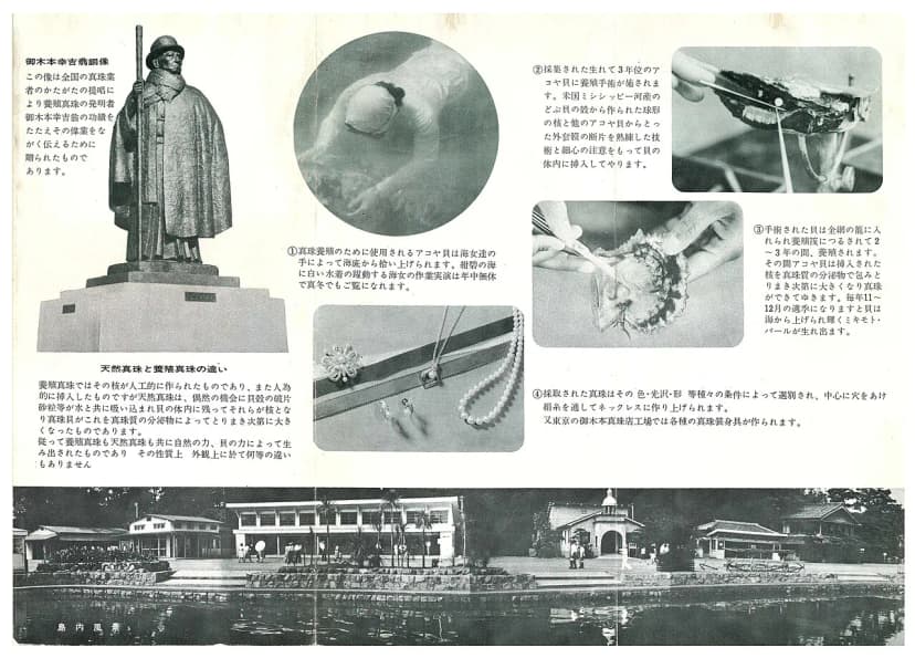 Mikimoto Pearl Island Visitor Guide: Ama Divers, Pearl Museum & Tips (2026)