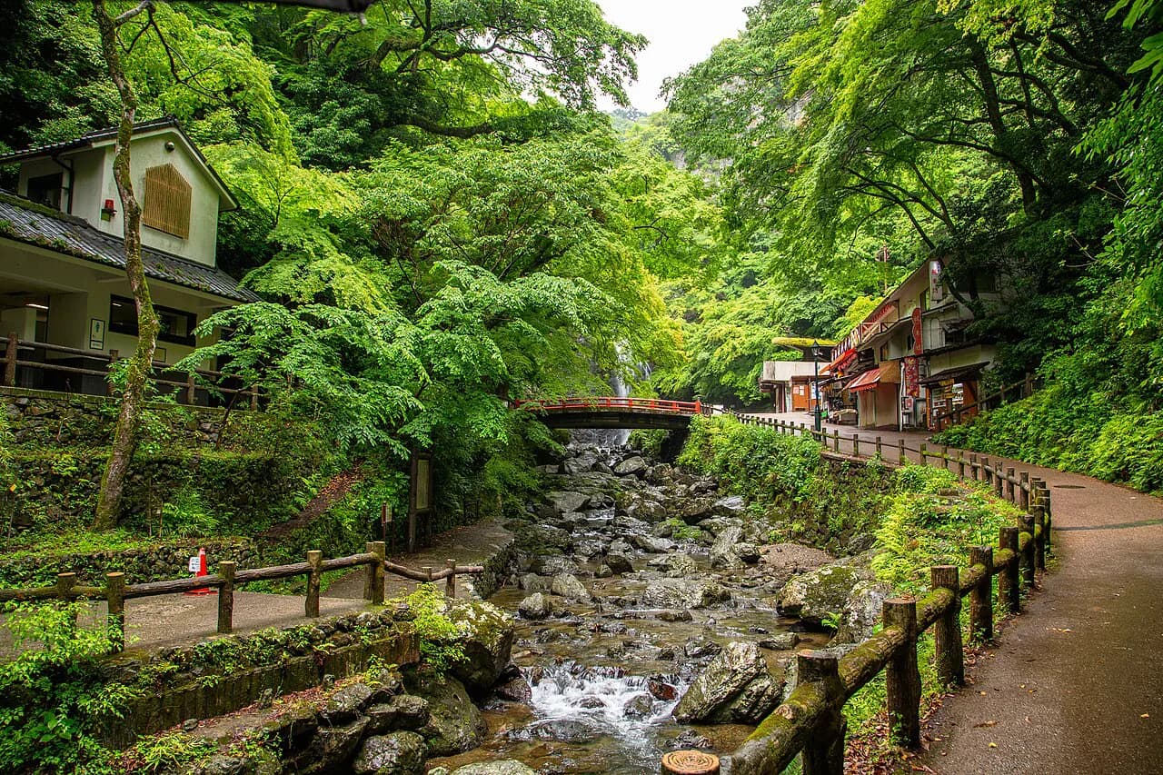 Minoo Park Osaka: Waterfall Hike & Momiji Tempura Guide