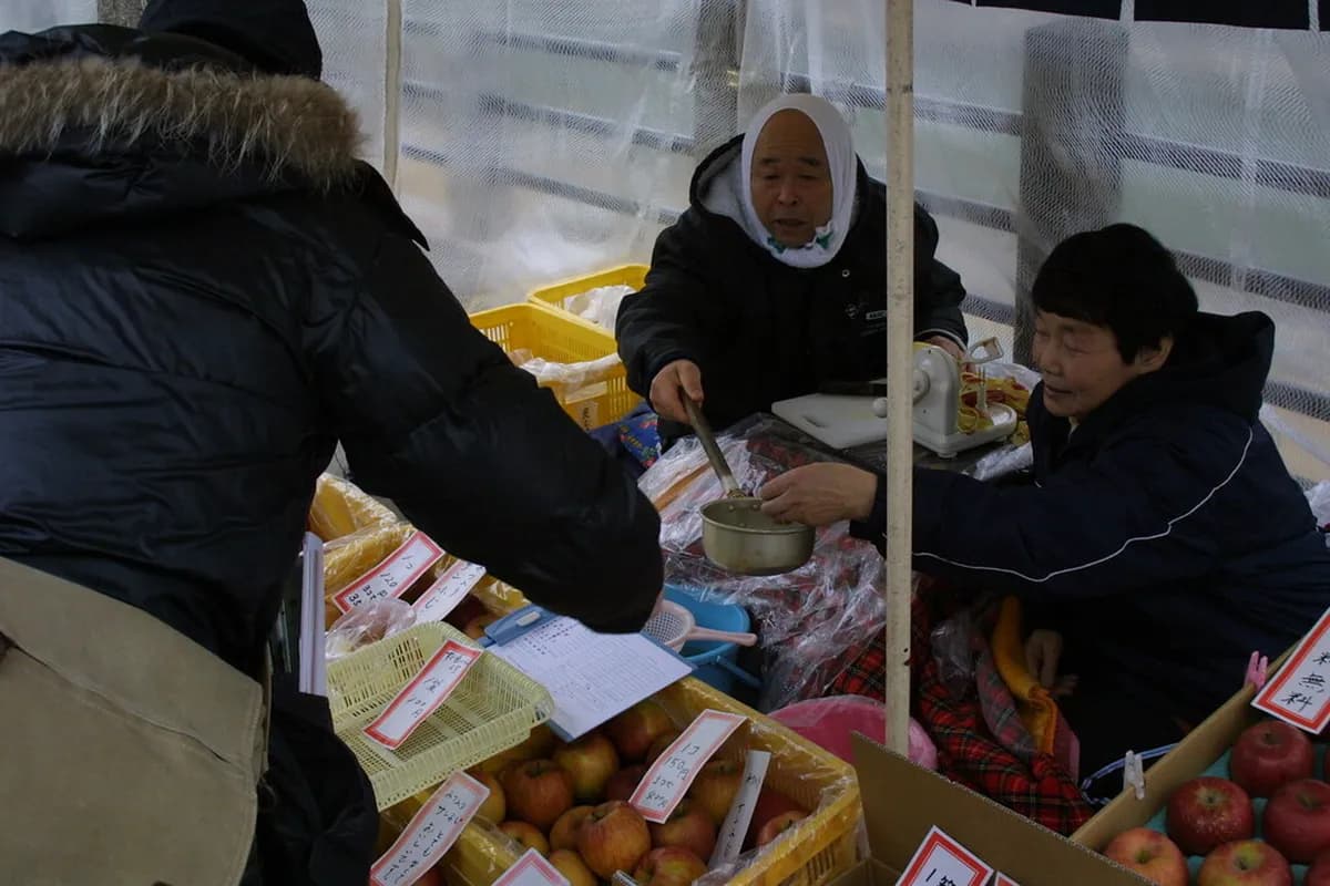 Miyagawa Morning Market Visitor Guide: 10 Essential Tips