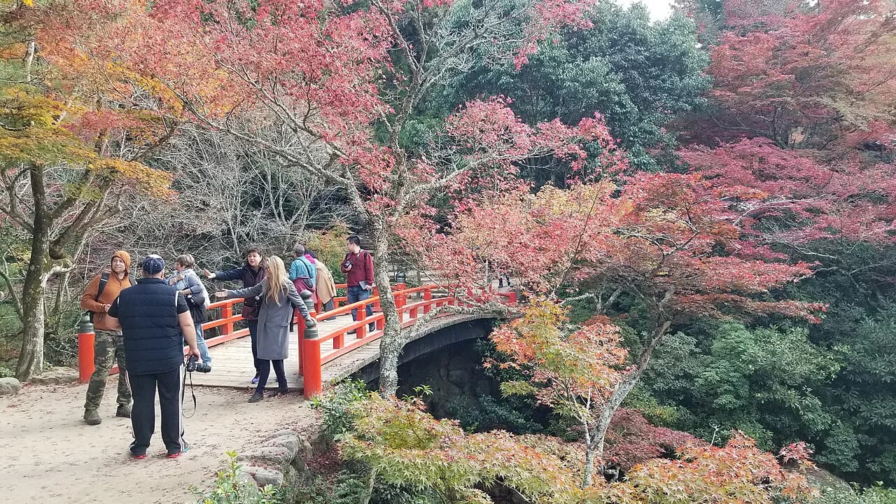 9 Best Cafes in Miyajima With a View of the Floating Torii Gate