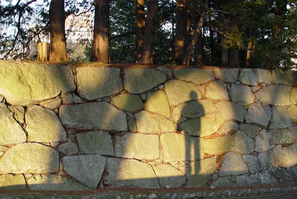 Morioka Castle Ruins Park: 7 Essential Tips for Your Visit
