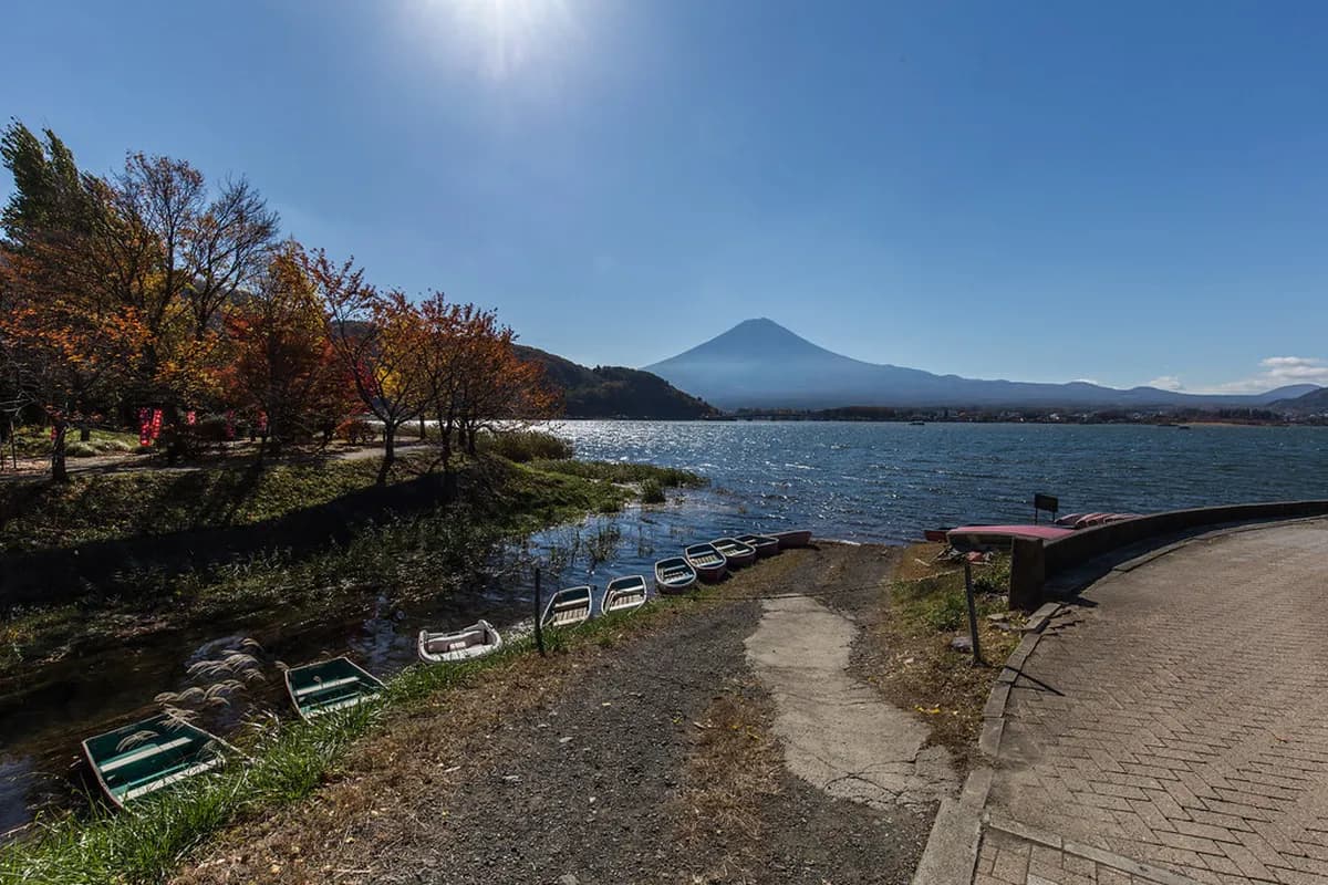 Mount Fuji Day Trip From Tokyo Travel Guide