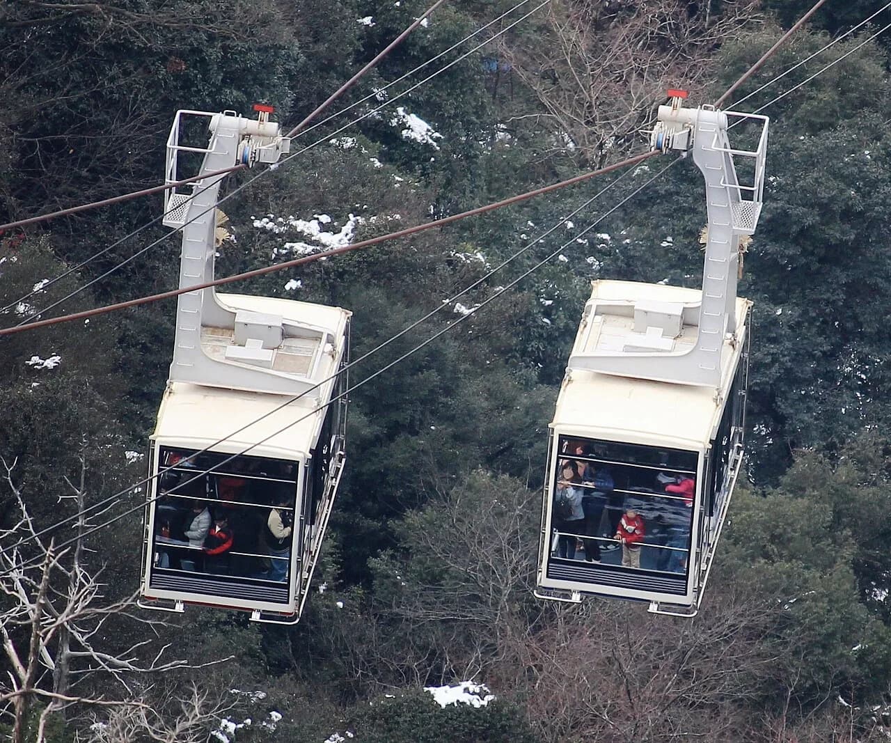 Mount Kinka Ropeway Visitor Guide: Tickets, Hours & Things to Do