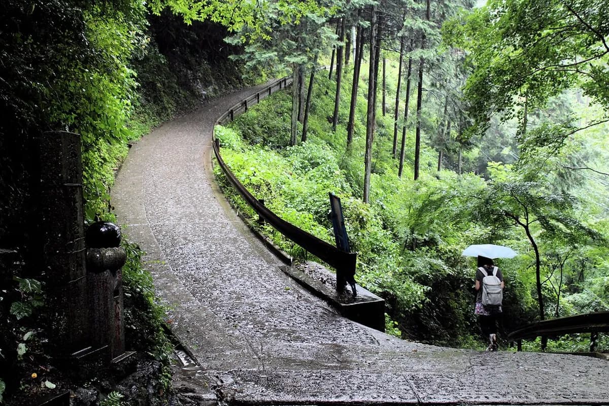 Mount Takao Travel Guide