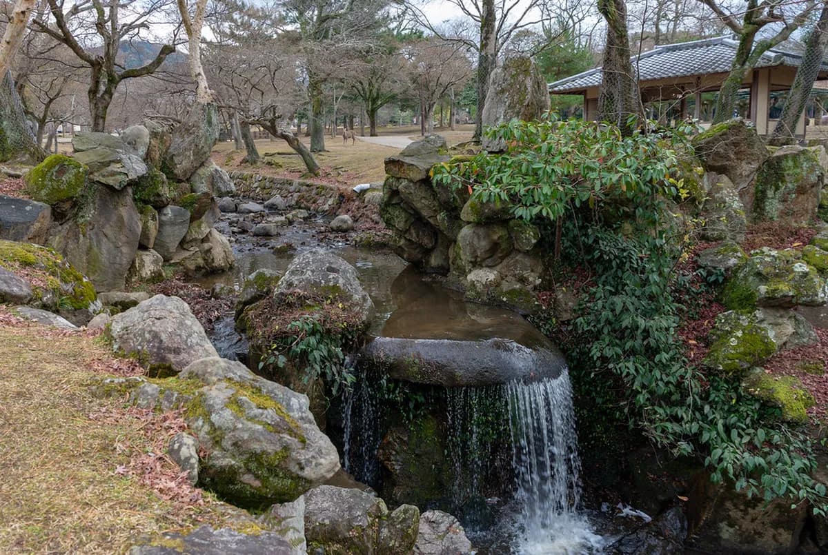 Mount Wakakusa Hiking Guide Travel Guide