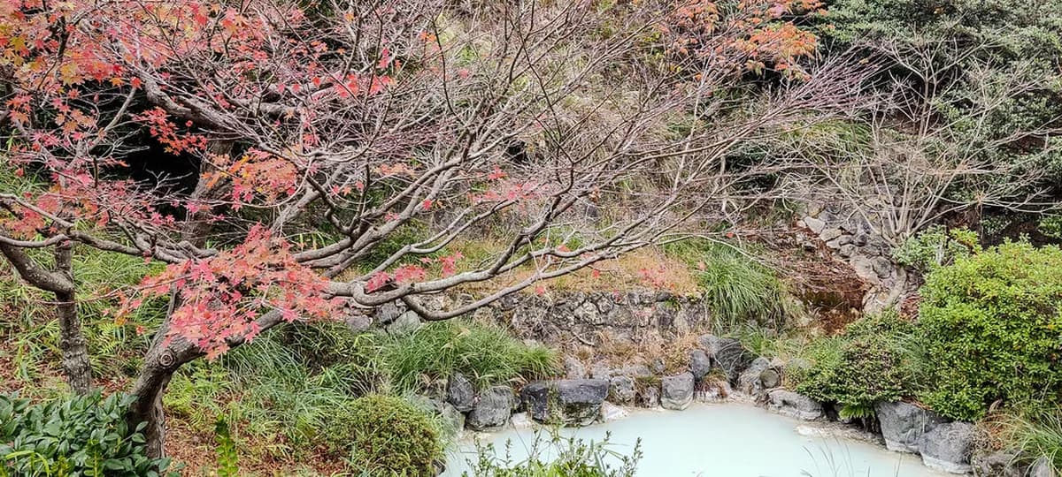 Myoban Onsen Visitor Guide: 10 Best Things to Do & See