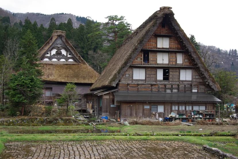 Myozenji Temple Visitor Guide: 8 Key Insights