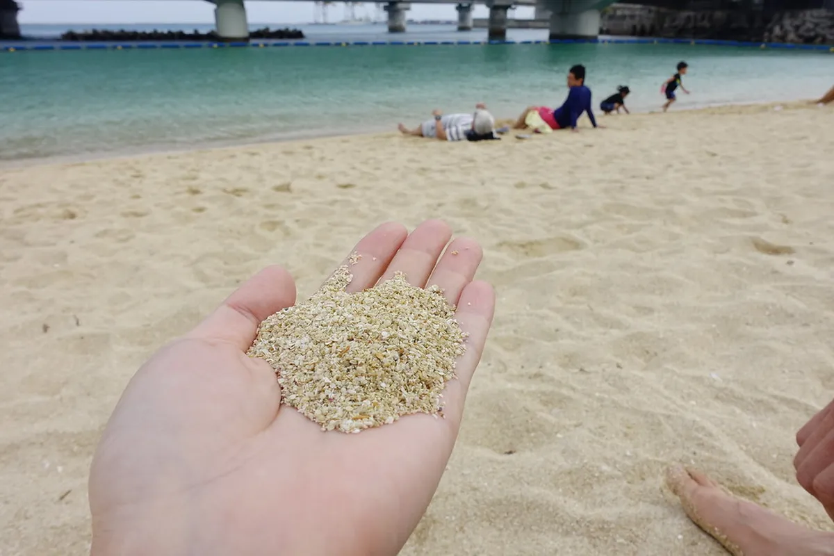 Naminoue Beach Visitor Guide