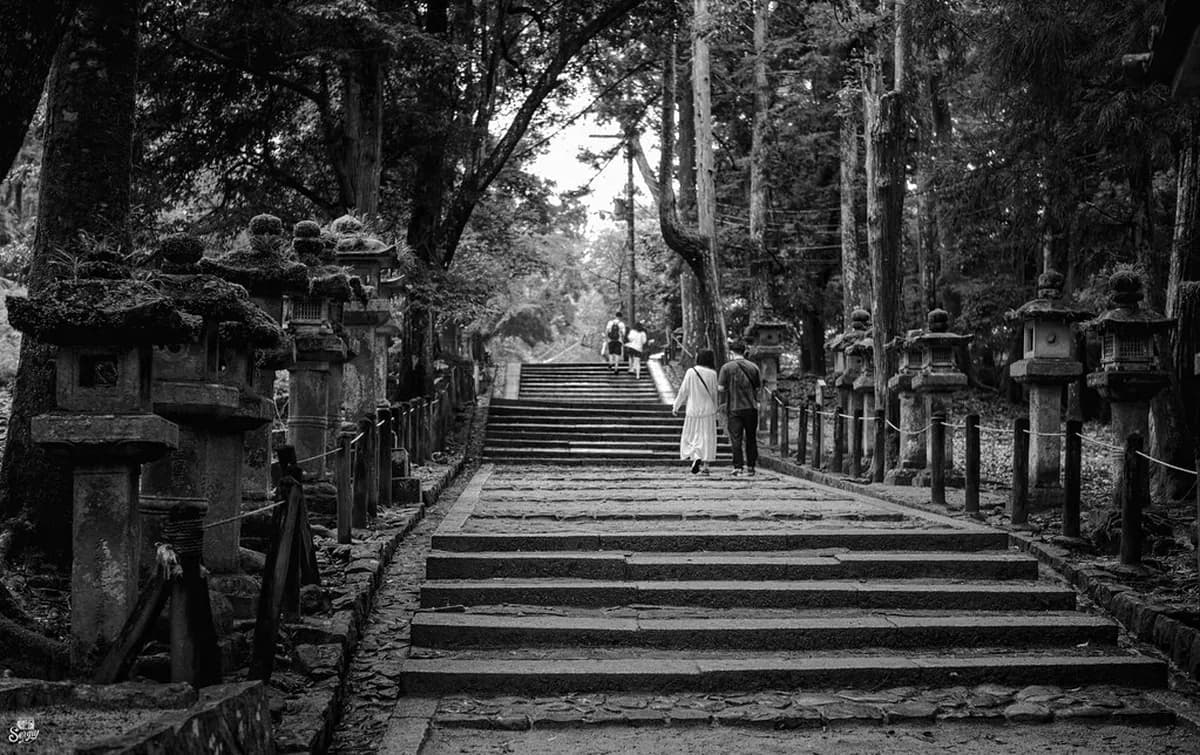 Nara Day Trip From Osaka: 10 Essential Planning Steps & Stops