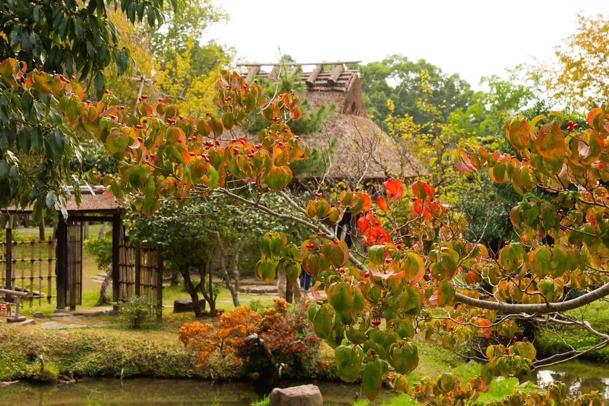 Nara National Museum Guide Travel Guide