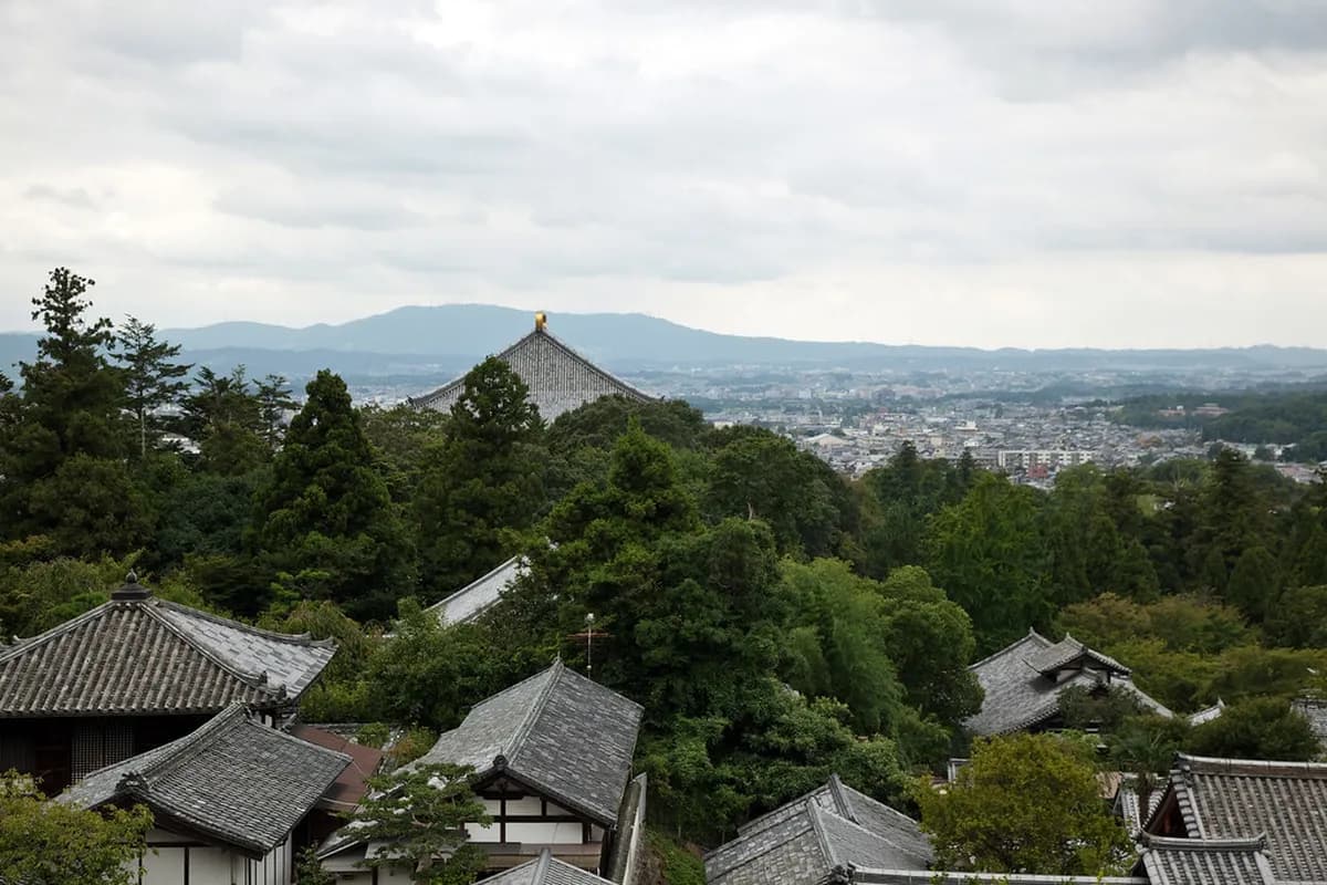 Nara to Kyoto Train Guide: 5 Essential Travel Options