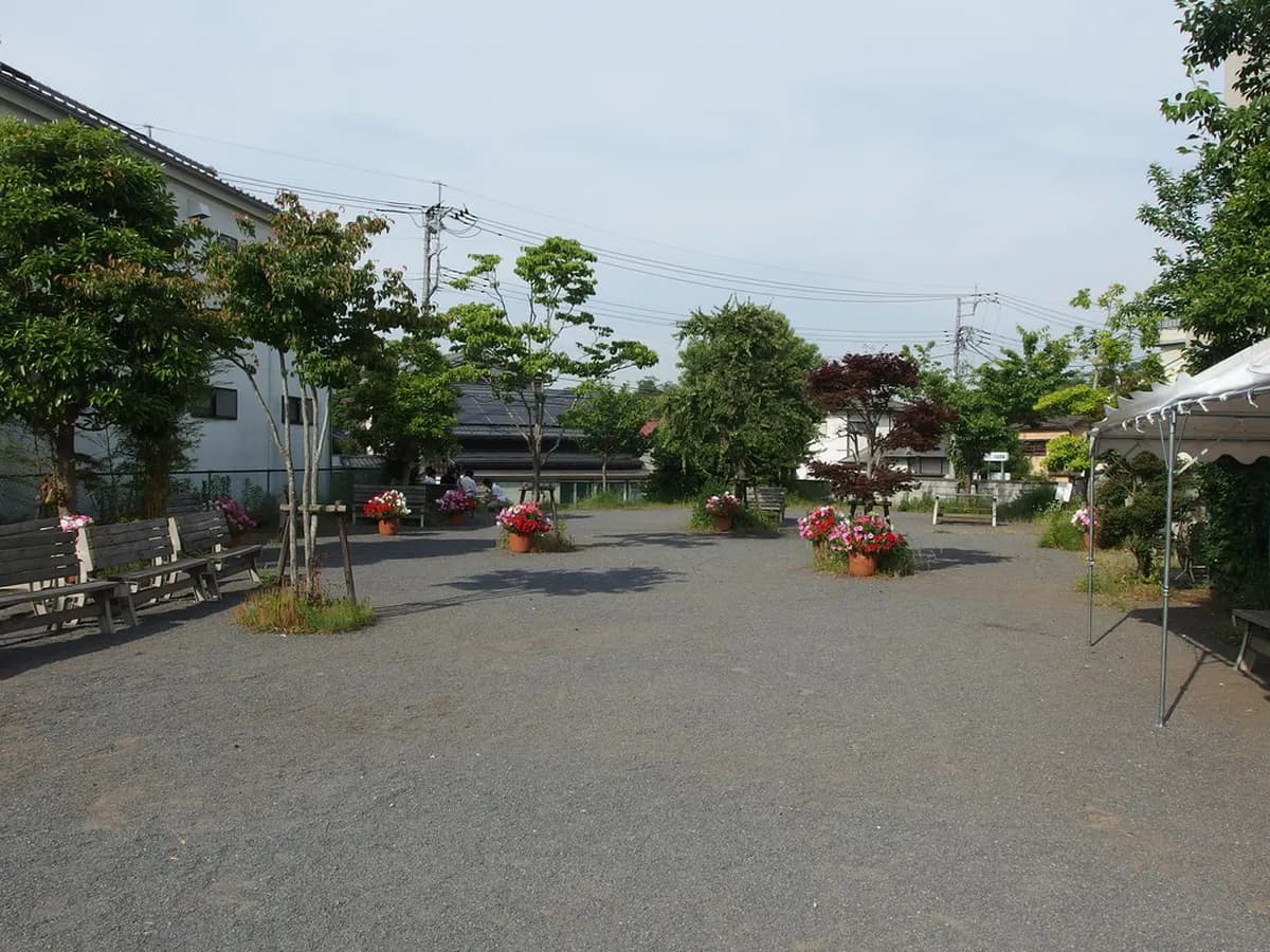 Naritasan Omotesando Street Travel Guide