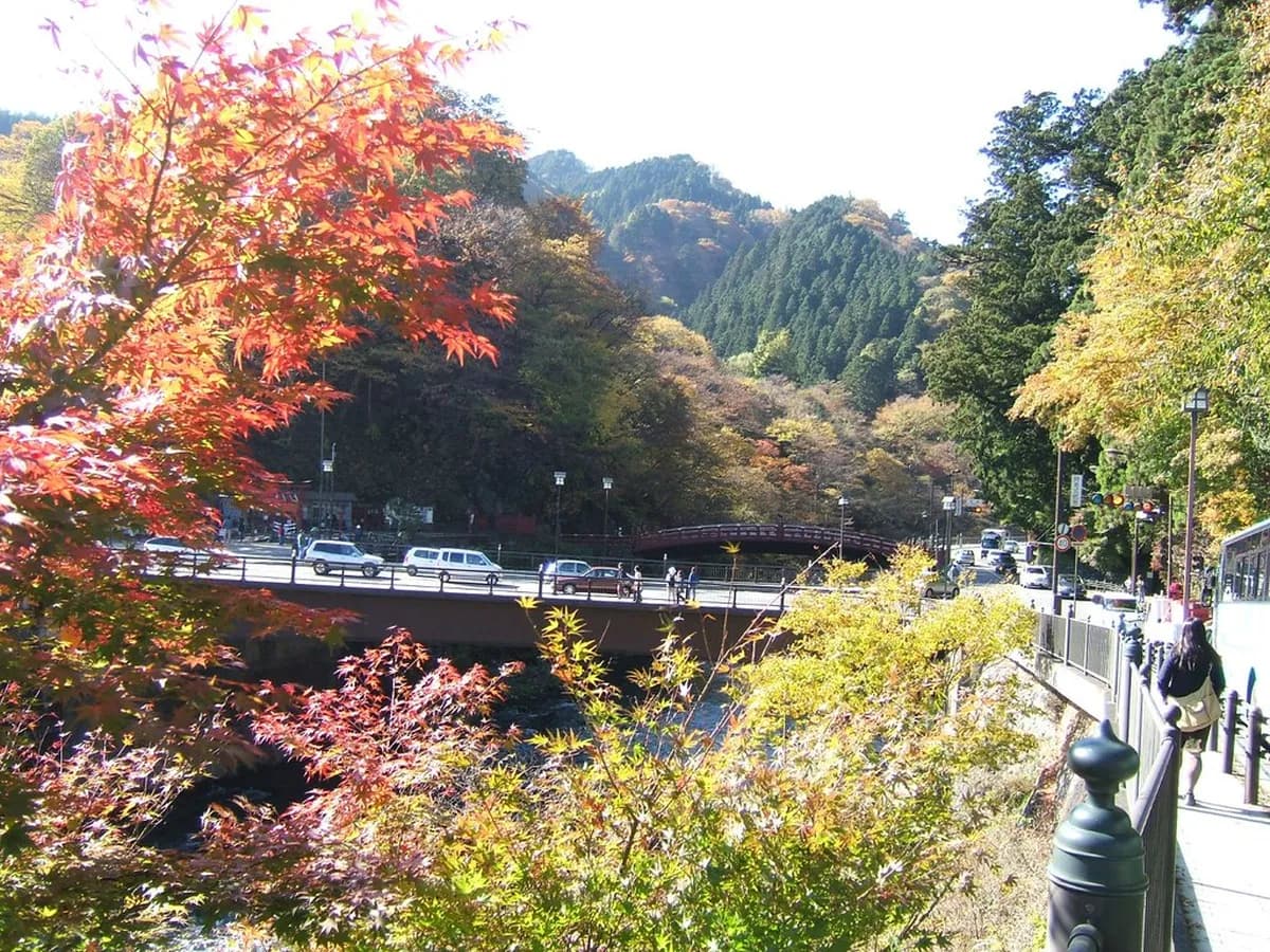 Nikko Fall Foliage When To See: 10 Essential Tips & Spots