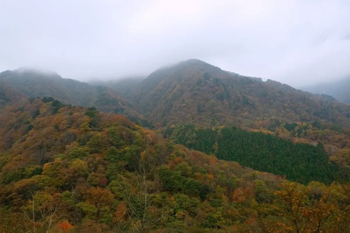 10 Best Ways to Experience Nikko Tours: A Complete Travel Guide