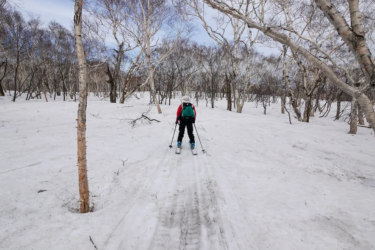 Niseko Skiing Guide: 9 Essential Tips for Your Trip