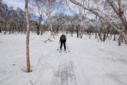 Niseko Skiing Guide: 9 Essential Tips for Your Trip