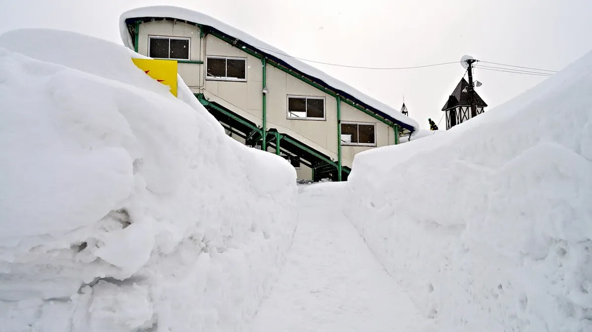 10 Essential Niseko Travel Tips for First-Timers