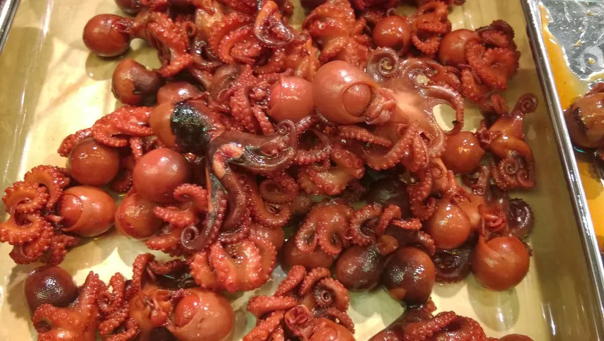 Nishiki Market Visitor Guide Travel Guide