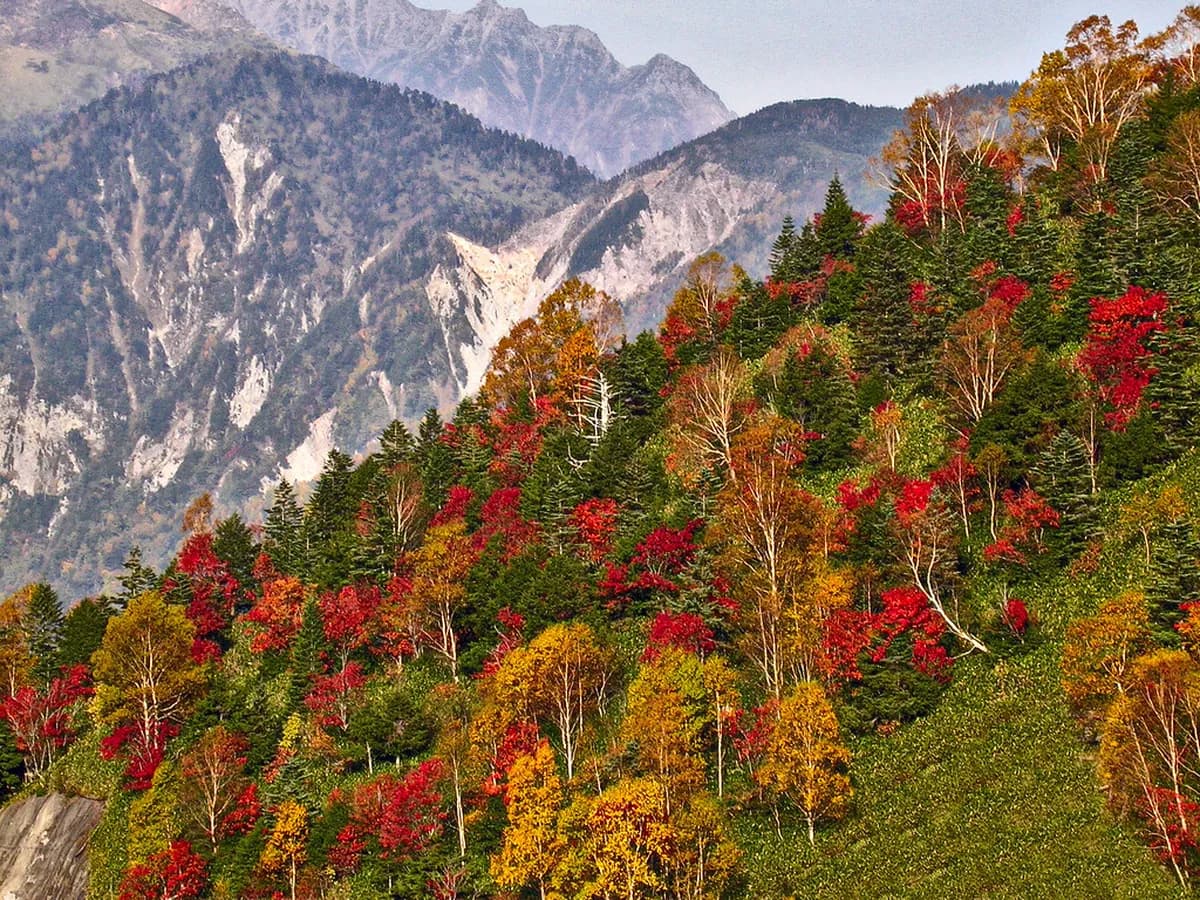 Norikura Japan Alps Travel Guide 2026