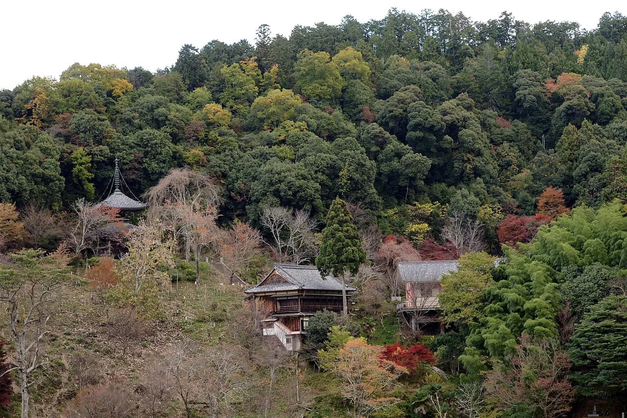 Nyoirin-ji Visitor Guide: Hours, Fees, & What to See