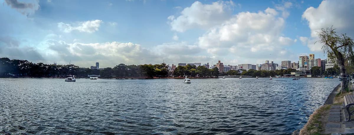 Ohori Park Fukuoka: The Complete Visitor Guide