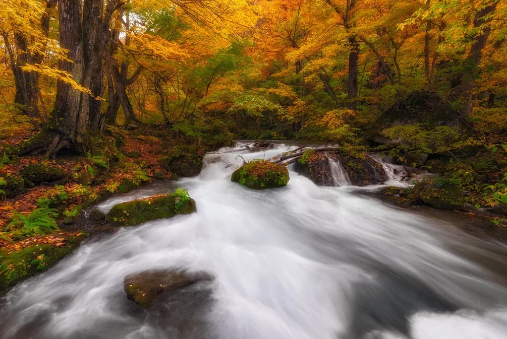 Oirase Gorge Visitor Guide: Hiking, Waterfalls & Maps