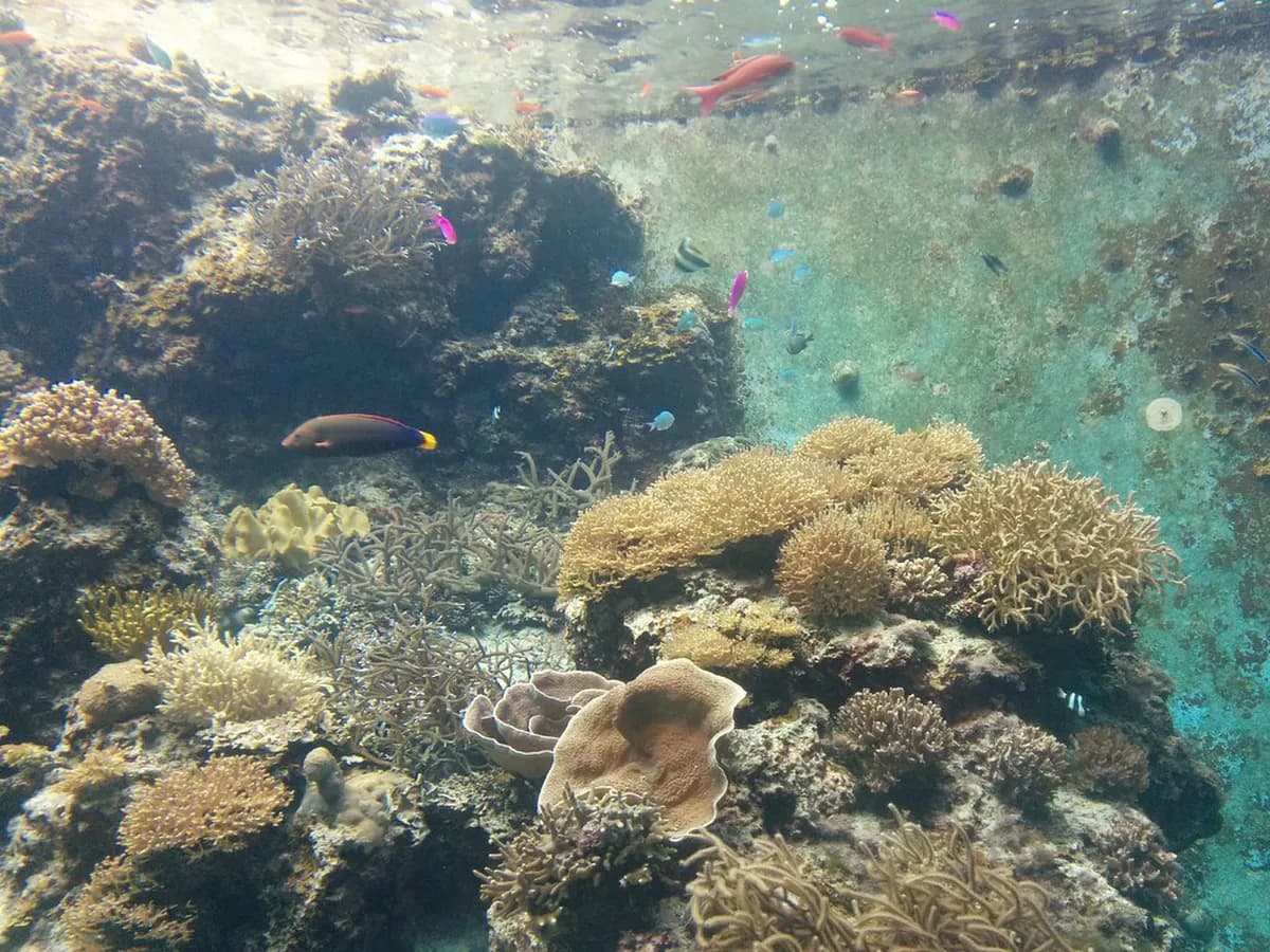 Okinawa with Kids: The Perfect 4-Day Family Itinerary