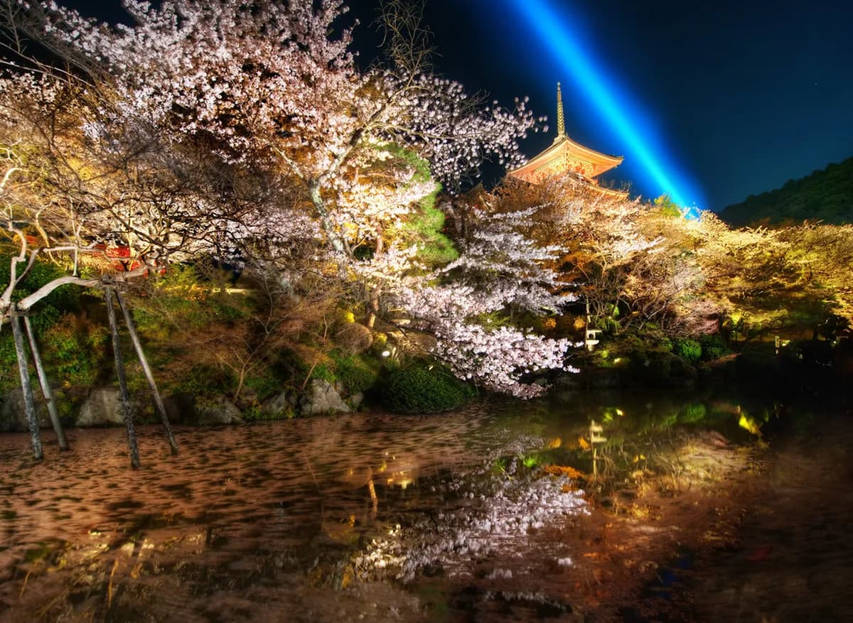 Osaka to Kobe Day Trip: 8 Essential Stops & Tips