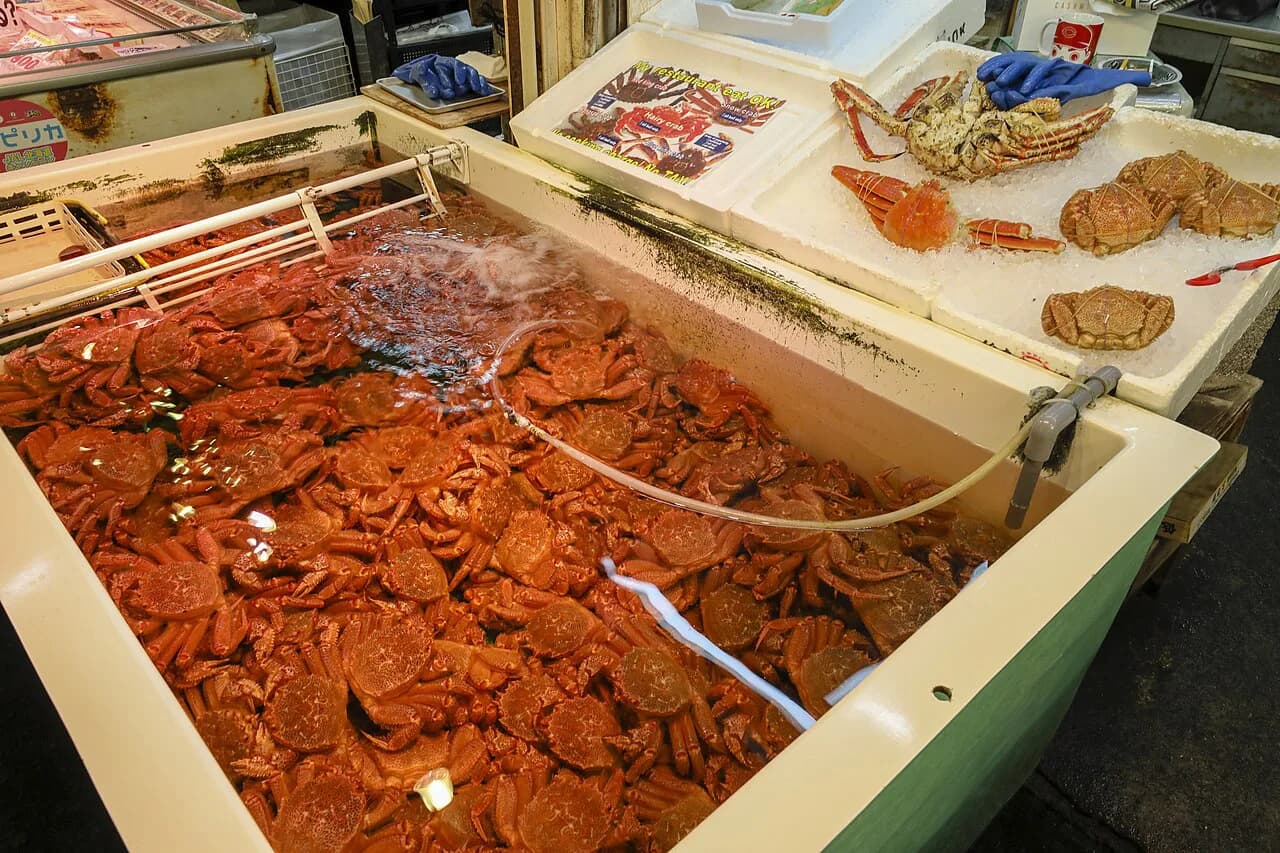 Otaru Seafood Market Kaisendon Guide: Sankaku Market Vendors, Prices, and Wait Times