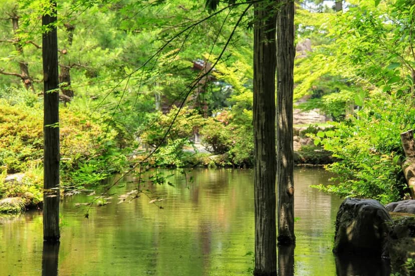 Oyama Shrine Visitor Guide Travel Guide