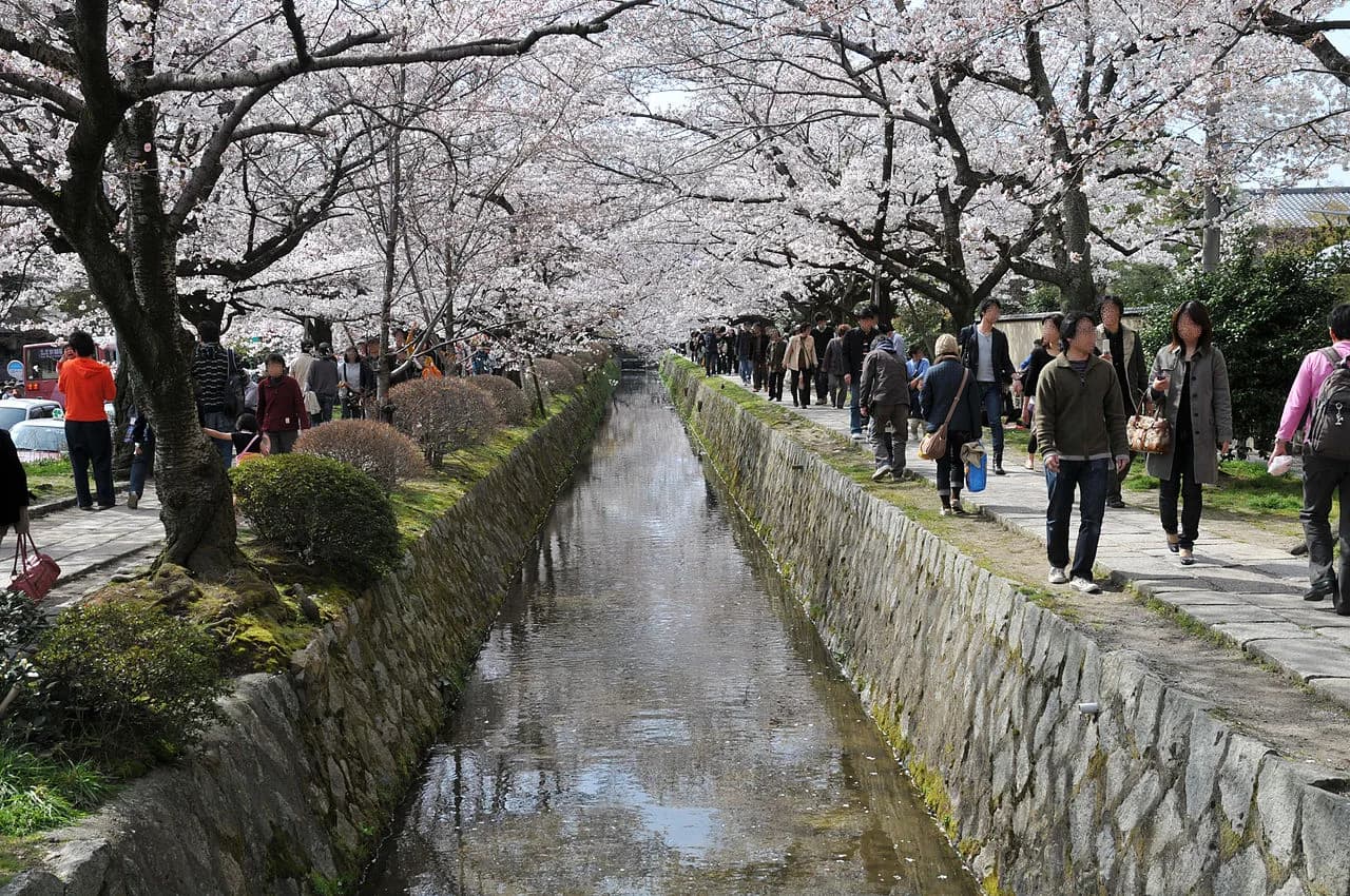 Philosopher's Path Kyoto: Complete Walking Guide (2026)